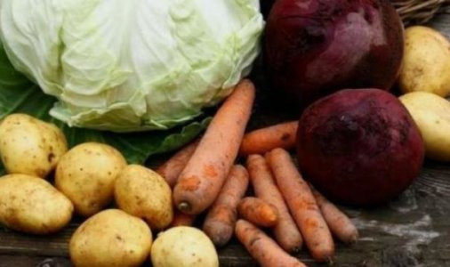 ​Громадська організація шукає постачальників овочів
