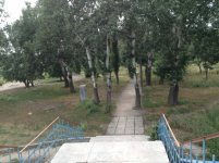 Парк Пушкина - лето 2013
