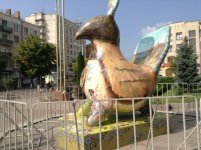 Кіровоградська диво-пташка, фото - tusovka.kr.ua