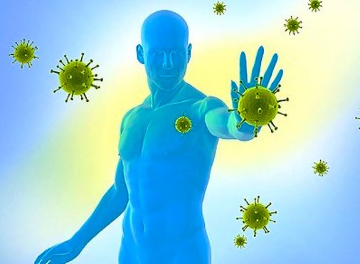 Как укрепить иммунитет и закалить организм?