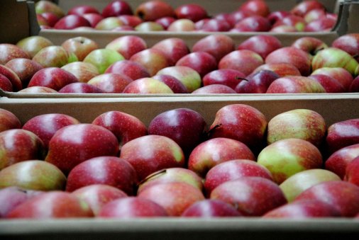 ​Аграрні розписки набувають яблучного смаку