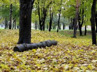 Парк Пушкина - осень. Фото - Анатолий Пугач, http://mikata.io.ua
