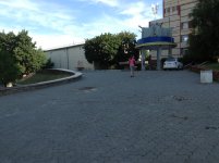 Сквер с пантерами, фото - tusovka.kr.ua