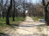 Парк Степняка-Кравчинського у Кіровограді